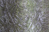 Langridgeford fibreglass roof work